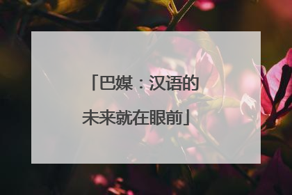 巴媒：汉语的未来就在眼前