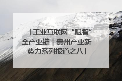 工业互联网“赋智”全产业链｜贵州产业新势力系列报道之八