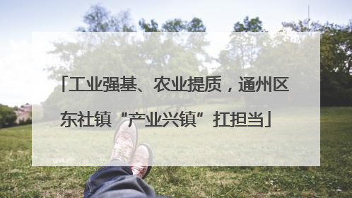 工业强基、农业提质，通州区东社镇“产业兴镇”扛担当