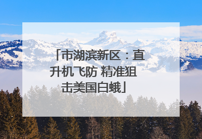 市湖滨新区：直升机飞防 精准狙击美国白蛾