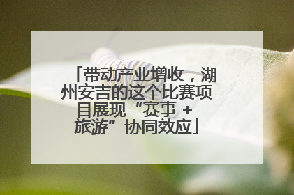 带动产业增收，湖州安吉的这个比赛项目展现“赛事 + 旅游”协同效应