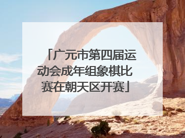 广元市第四届运动会成年组象棋比赛在朝天区开赛