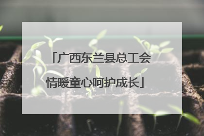 广西东兰县总工会情暖童心呵护成长