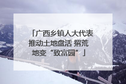广西乡镇人大代表推动土地盘活 撂荒地变“致富园”