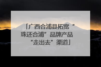 广西合浦县拓宽“珠还合浦”品牌产品“走出去”渠道
