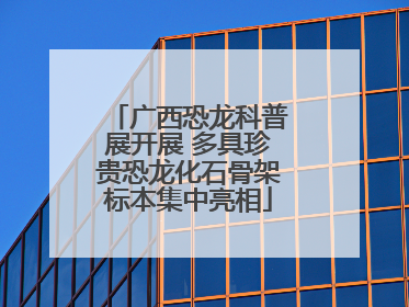 广西恐龙科普展开展 多具珍贵恐龙化石骨架标本集中亮相