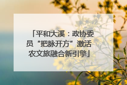 平和大溪：政协委员“把脉开方”激活农文旅融合新引擎