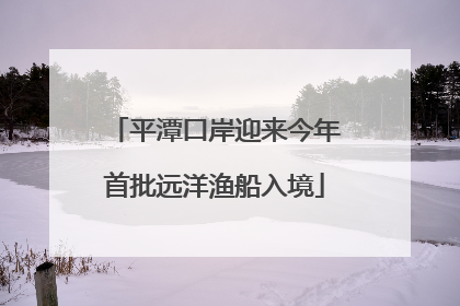 平潭口岸迎来今年首批远洋渔船入境
