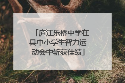 庐江乐桥中学在县中小学生智力运动会中斩获佳绩