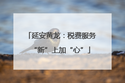 延安黄龙：税费服务“新”上加“心”
