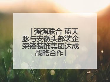 强强联合 蓝天豚与安徽头部装企荣锋装饰集团达成战略合作