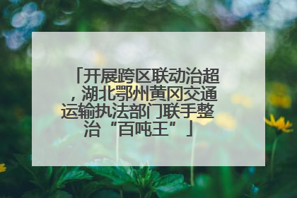 开展跨区联动治超，湖北鄂州黄冈交通运输执法部门联手整治“百吨王”
