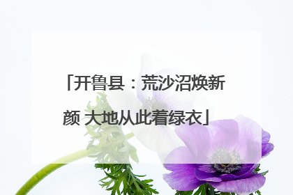 开鲁县：荒沙沼焕新颜 大地从此着绿衣