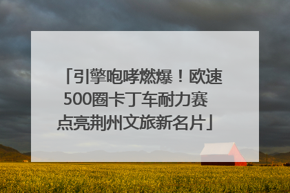 引擎咆哮燃爆！欧速500圈卡丁车耐力赛点亮荆州文旅新名片