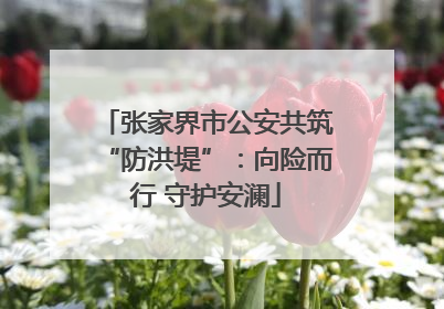 张家界市公安共筑“防洪堤”：向险而行 守护安澜