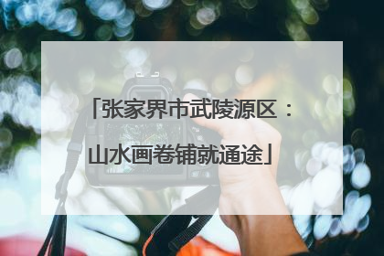张家界市武陵源区：山水画卷铺就通途