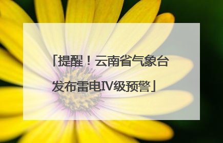提醒！云南省气象台发布雷电Ⅳ级预警