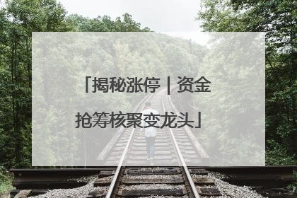 揭秘涨停｜资金抢筹核聚变龙头