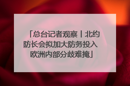 总台记者观察丨北约防长会拟加大防务投入 欧洲内部分歧难掩