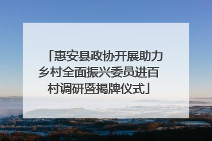 惠安县政协开展助力乡村全面振兴委员进百村调研暨揭牌仪式