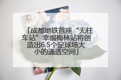 成都地铁首座“无柱车站”幸福梅林站将创造出6.5个足球场大小的通透空间