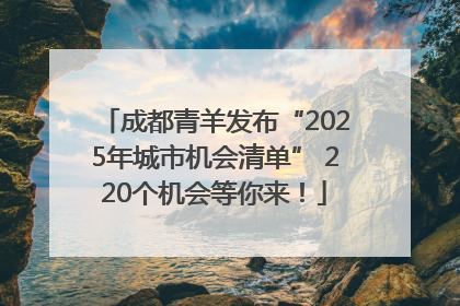 成都青羊发布“2025年城市机会清单” 220个机会等你来！