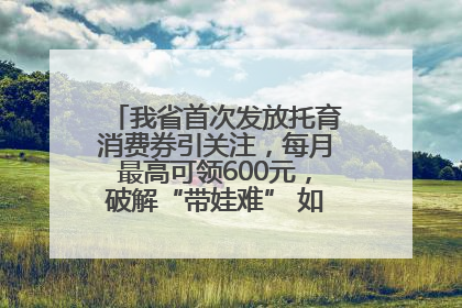 我省首次发放托育消费券引关注，每月最高可领600元，破解“带娃难” 如何不负所“托”？