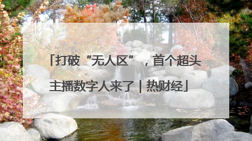 打破“无人区”，首个超头主播数字人来了｜热财经