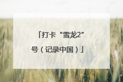 打卡“雪龙2”号（记录中国）