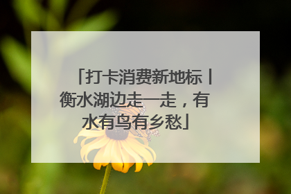 打卡消费新地标丨衡水湖边走一走，有水有鸟有乡愁