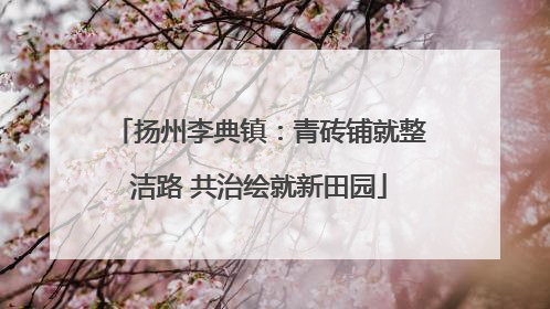 扬州李典镇：青砖铺就整洁路 共治绘就新田园