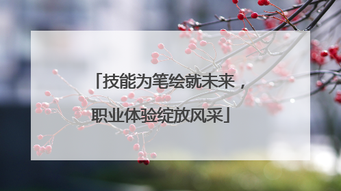 技能为笔绘就未来，职业体验绽放风采