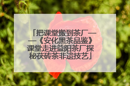 把课堂搬到茶厂——《安化黑茶品鉴》课堂走进益阳茶厂探秘茯砖茶非遗技艺