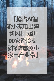 抢占AI智能小家电出海新风口 超100家跨境卖家探访慈溪小家电产业带
