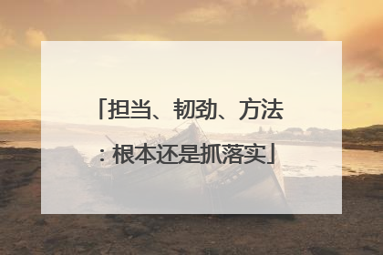 担当、韧劲、方法：根本还是抓落实