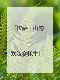 拉萨：山沟欢腾赛牦牛