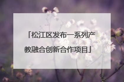松江区发布一系列产教融合创新合作项目