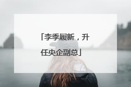 李季履新，升任央企副总