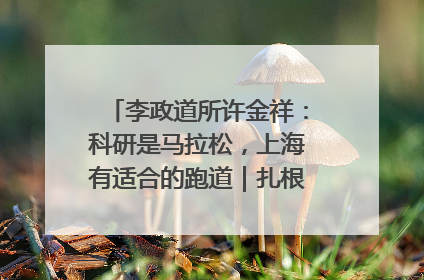 李政道所许金祥：科研是马拉松，上海有适合的跑道｜扎根上海，从0到1