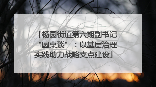 杨园街道第六期副书记“圆桌谈”：以基层治理实践助力战略支点建设