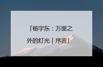 杨宇东：万里之外的灯光｜序言