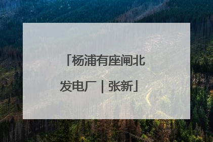 杨浦有座闸北发电厂｜张新