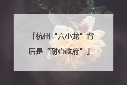 杭州“六小龙”背后是“耐心政府”