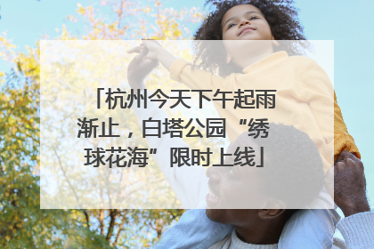 杭州今天下午起雨渐止，白塔公园“绣球花海”限时上线