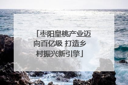 枣阳皇桃产业迈向百亿级 打造乡村振兴新引擎
