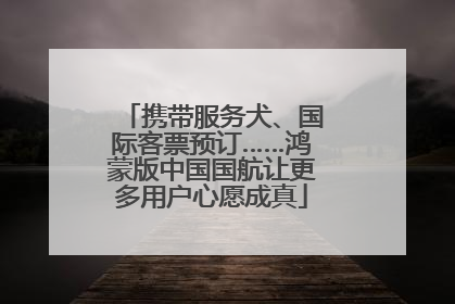 携带服务犬、国际客票预订……鸿蒙版中国国航让更多用户心愿成真