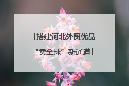 搭建河北外贸优品“卖全球”新通道