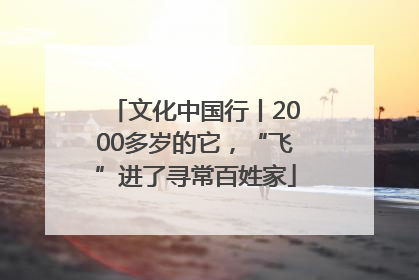 文化中国行丨2000多岁的它，“飞”进了寻常百姓家