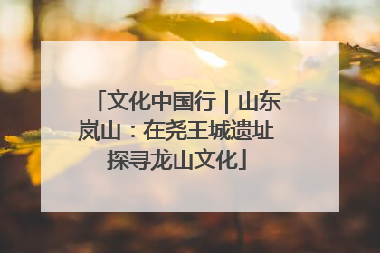 文化中国行｜山东岚山：在尧王城遗址探寻龙山文化