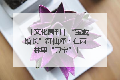 文化周刊｜“宝藏馆长”符仙瑾：在雨林里“寻宝”